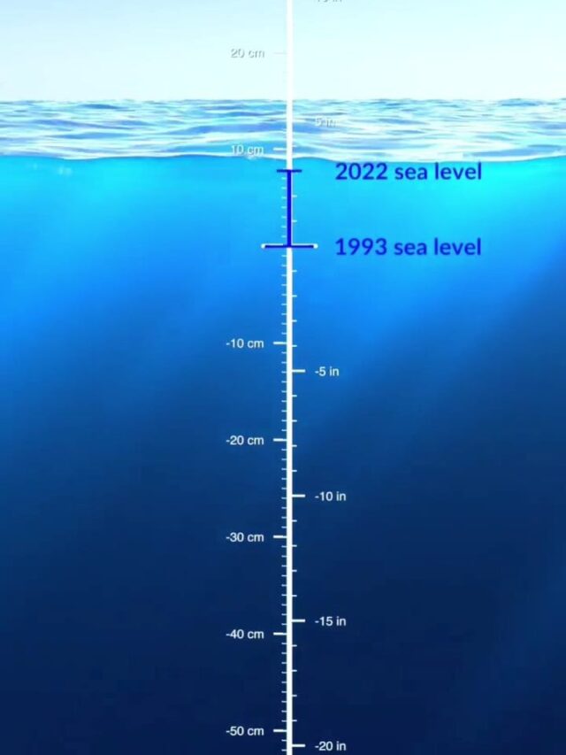 नासा  अनुसार समुद्र सतह पर आठ सेंटीमीटर की वृद्धि हुई है
